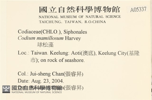 登錄號:A00005337藏品圖，第2張