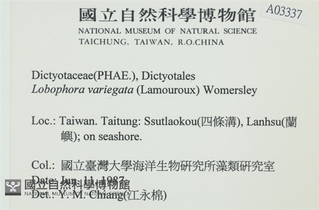 登錄號:A00003337藏品圖，第2張