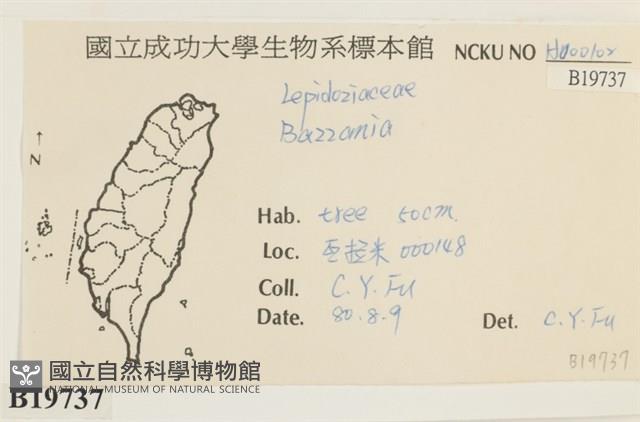 登錄號:B00019737藏品圖，第2張