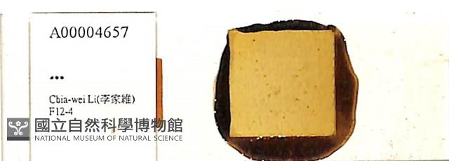 登錄號:A00004657藏品圖，第1張