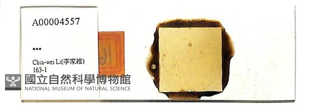 登錄號:A00004557藏品圖，第1張