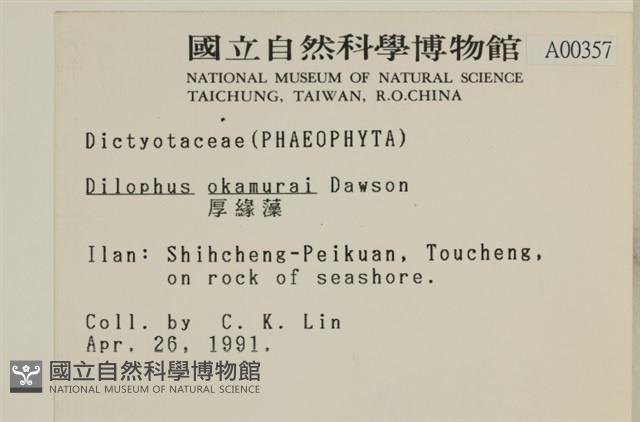 厚緣藻藏品圖，第2張