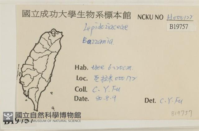 登錄號:B00019757藏品圖，第2張
