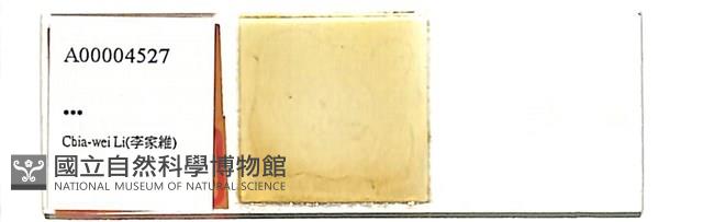 登錄號:A00004527藏品圖，第1張