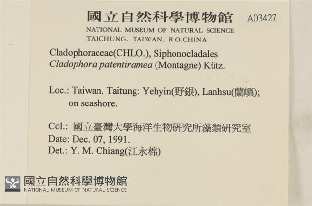 登錄號:A00003427藏品圖，第2張