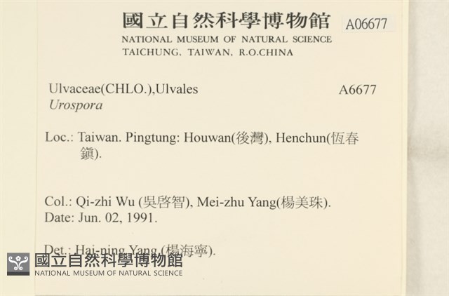 登錄號:A00006677藏品圖，第2張