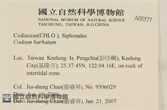 登錄號:A00005577藏品圖，第2張