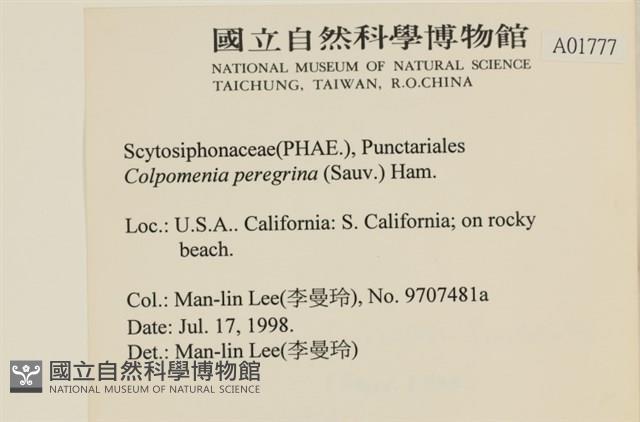 登錄號:A00001777藏品圖，第2張