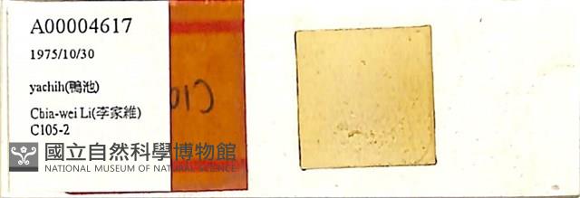 登錄號:A00004617藏品圖，第1張