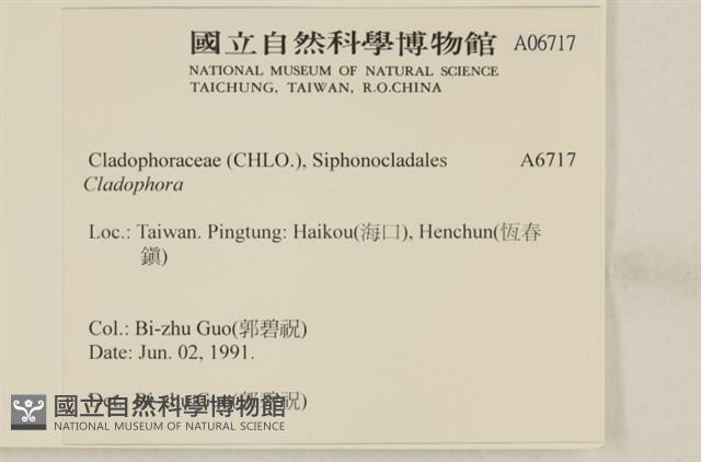 登錄號:A00006717藏品圖，第2張