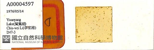 登錄號:A00004597藏品圖，第1張