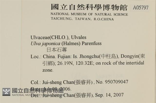 登錄號:A00005797藏品圖，第2張