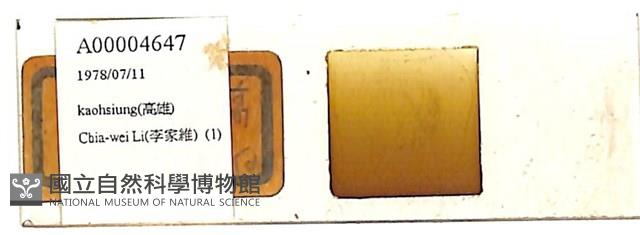 登錄號:A00004647藏品圖，第1張