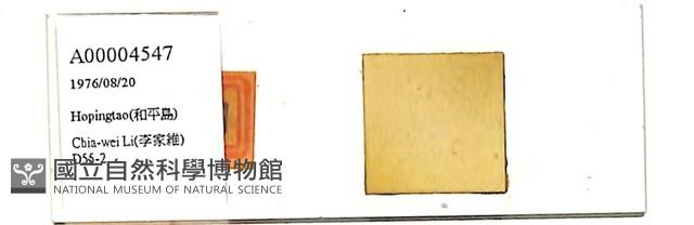 登錄號:A00004547藏品圖，第1張