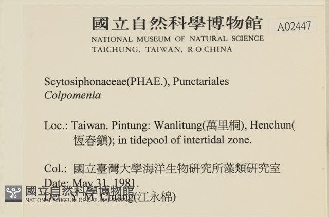 登錄號:A00002447藏品圖，第2張