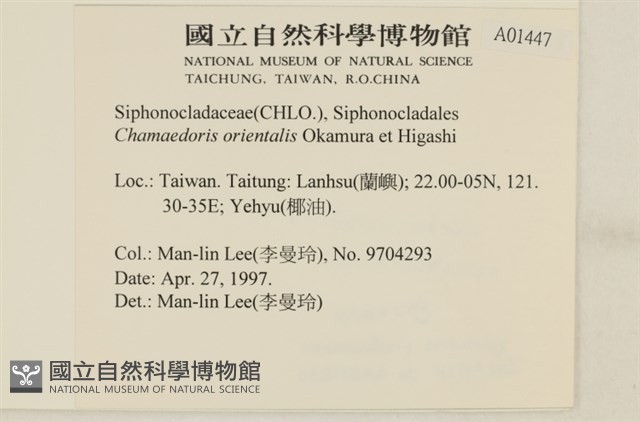 登錄號:A00001447藏品圖，第2張