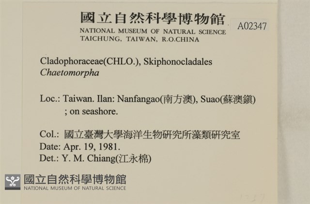 登錄號:A00002347藏品圖，第2張