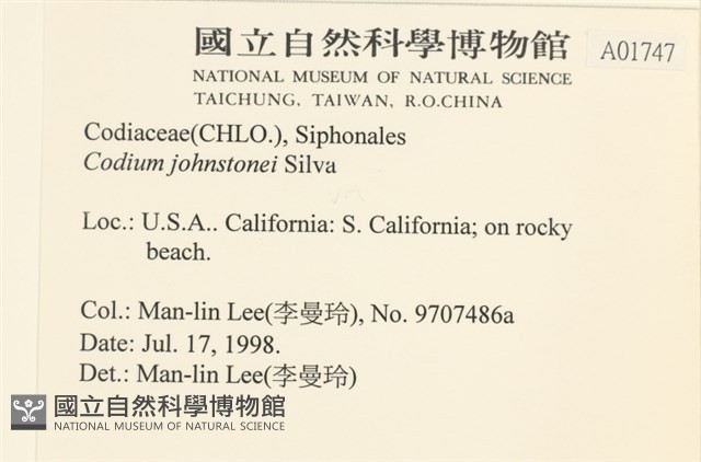 登錄號:A00001747藏品圖，第2張