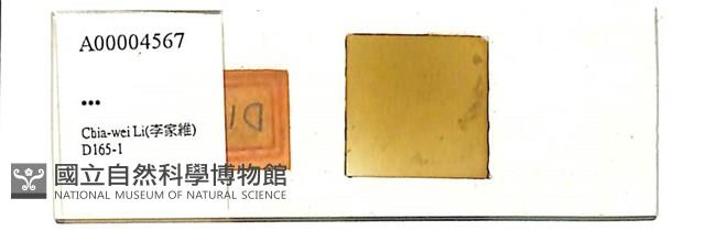 登錄號:A00004567藏品圖，第1張