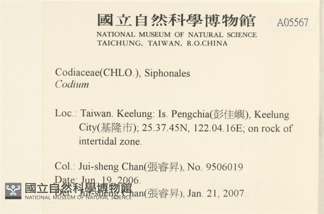 登錄號:A00005567藏品圖，第2張