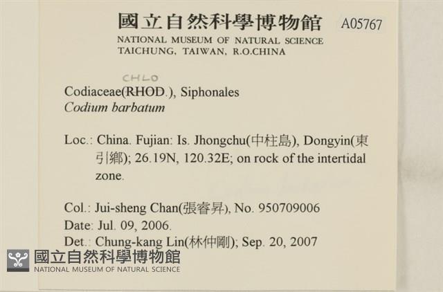 登錄號:A00005767藏品圖，第2張