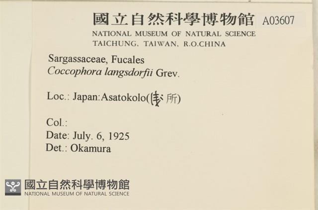 登錄號:A00003607藏品圖，第2張
