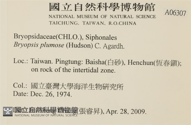 登錄號:A00006307藏品圖，第2張