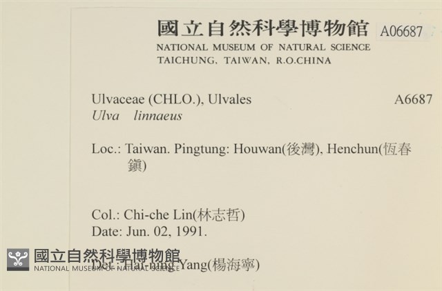 登錄號:A00006687藏品圖，第2張