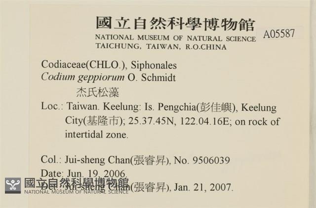 登錄號:A00005587藏品圖，第2張