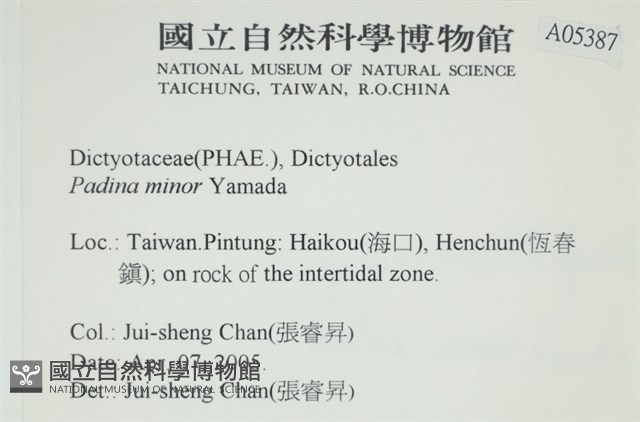 小團扇藻藏品圖，第2張