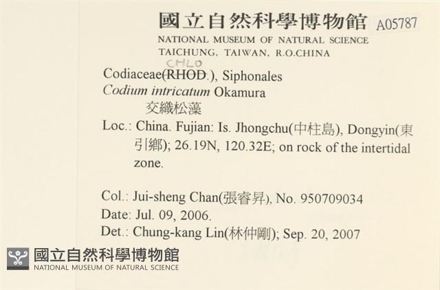登錄號:A00005787藏品圖，第2張