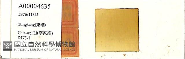 登錄號:A00004635藏品圖，第1張