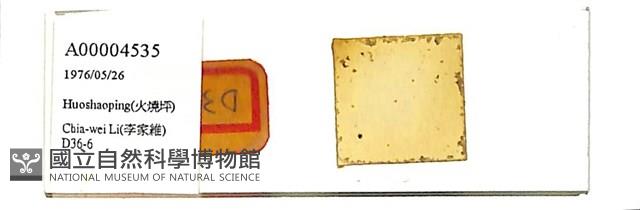 館號:A00004535藏品圖，第1張
