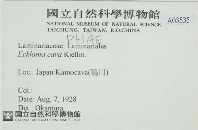 登錄號:A00003535藏品圖，第2張