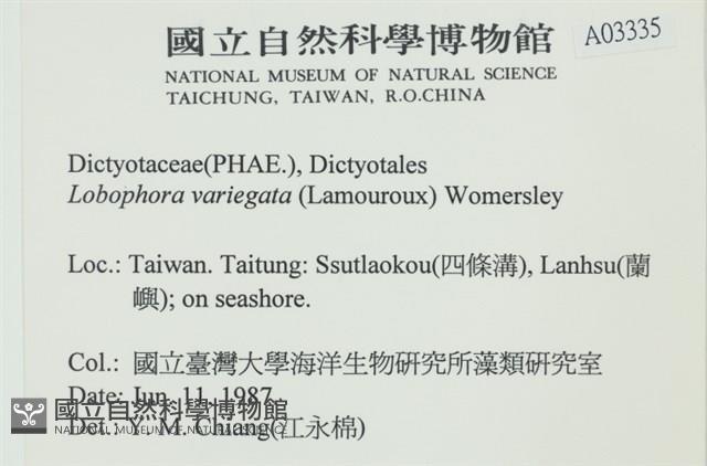 登錄號:A00003335藏品圖，第2張