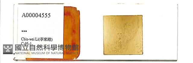 登錄號:A00004555藏品圖，第1張