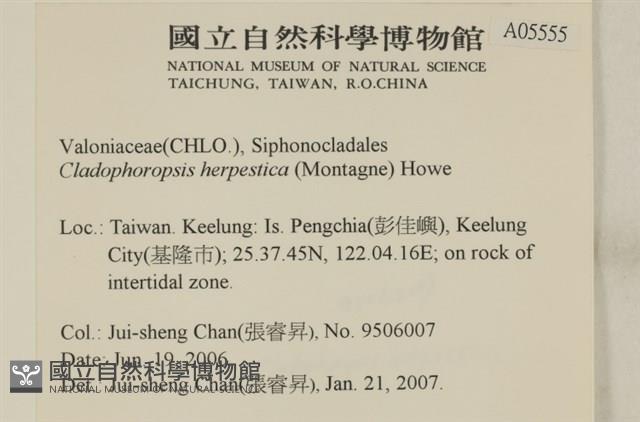 登錄號:A00005555藏品圖，第2張