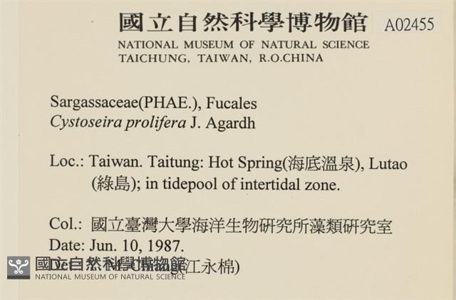 登錄號:A00002455藏品圖，第2張