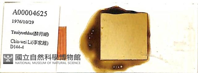 登錄號:A00004625藏品圖，第1張