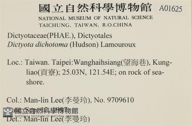 網目藻藏品圖，第2張