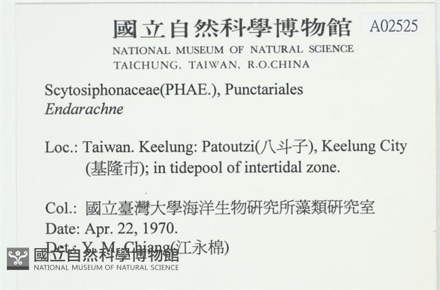 登錄號:A00002525藏品圖，第2張