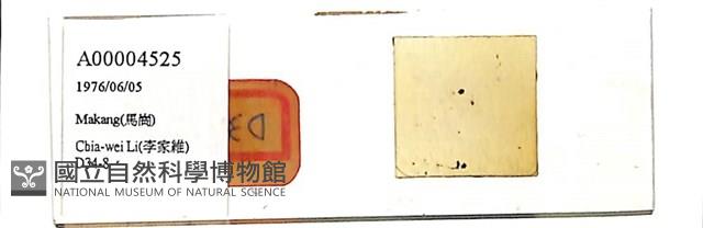 登錄號:A00004525藏品圖，第1張