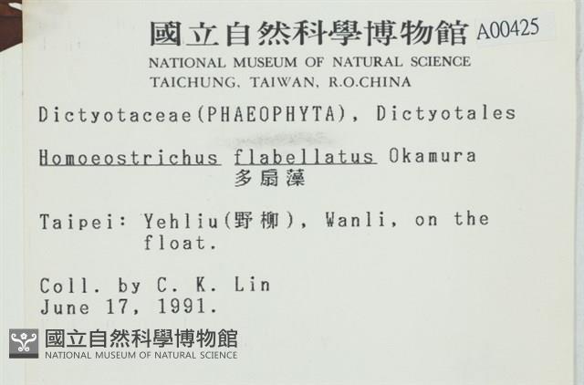 多扇藻藏品圖，第2張