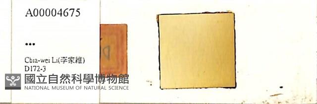 登錄號:A00004675藏品圖，第1張
