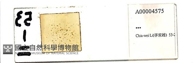 登錄號:A00004575藏品圖，第1張
