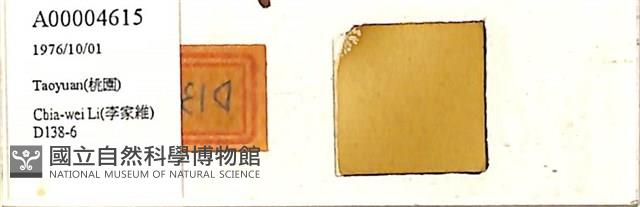 登錄號:A00004615藏品圖，第1張