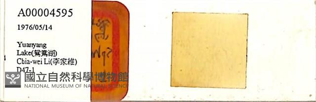 登錄號:A00004595藏品圖，第1張