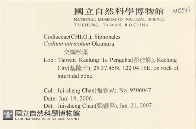 登錄號:A00005595藏品圖，第2張