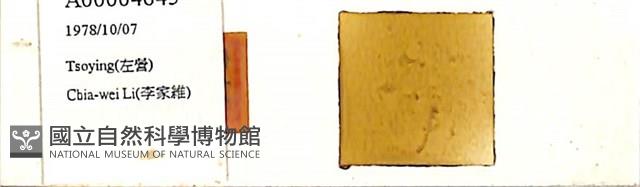 登錄號:A00004645藏品圖，第1張