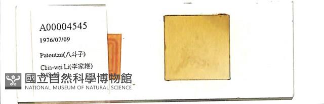登錄號:A00004545藏品圖，第1張